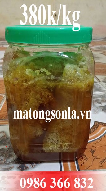 mat ong rung nguyen to http://matongsonla.vn