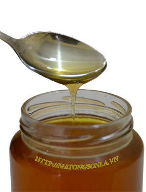 Mật ong hoa rừng đặc biệt ngon và thơm hơn so với mật ong hoa nhãn mua mật ong hoa rừng tại nhà phân phối tin cậy - cơ sở cung cấp