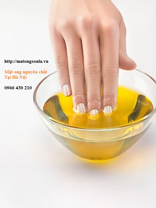 Phương pháp chăm sóc tóc tại nhà bằng Mật Ong Dưỡng tóc hiệu quả bằng mật ong và dầu ô liu