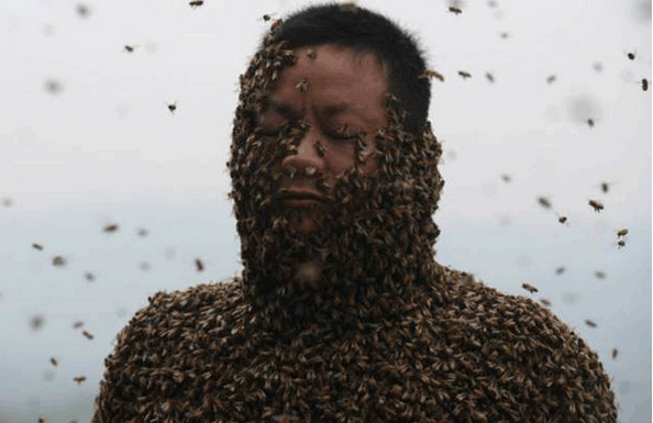 Những kỷ lục được xác lập về mật ong và những chú ong trong tự nhiên