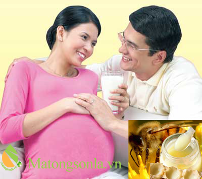 https://matongsonla.vn- Sữa ong chúa đối với phụ nữ mang thai