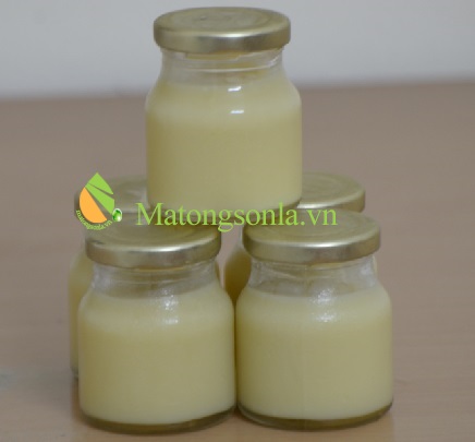 sữa ong chúa tươi https://matongsonla.vn