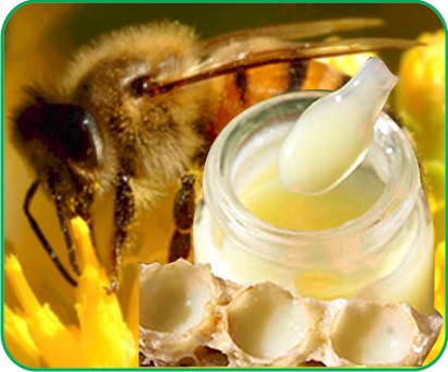 HÌnh ảnh sữa ong chúa nguyên chất thiên nhiên