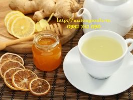 https://matongsonla.vn - trà gừng và mật ong chữa bệnh