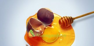 https://matongsonla.vn - Tác dụng của mật ong và trứng ga
