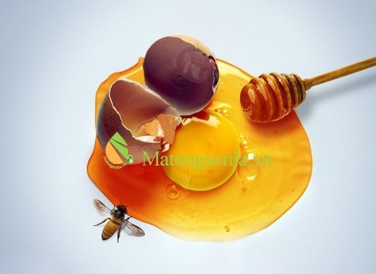 https://matongsonla.vn - Tác dụng của mật ong và trứng ga