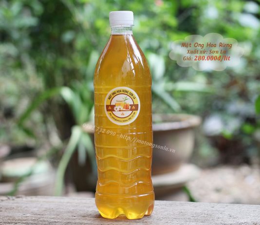 Mật ong hoa rừng tây bắc nguyên chất